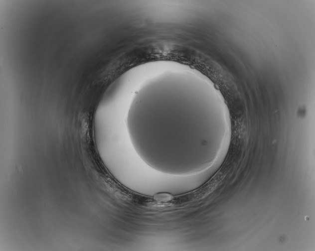X0000097620754200803211745