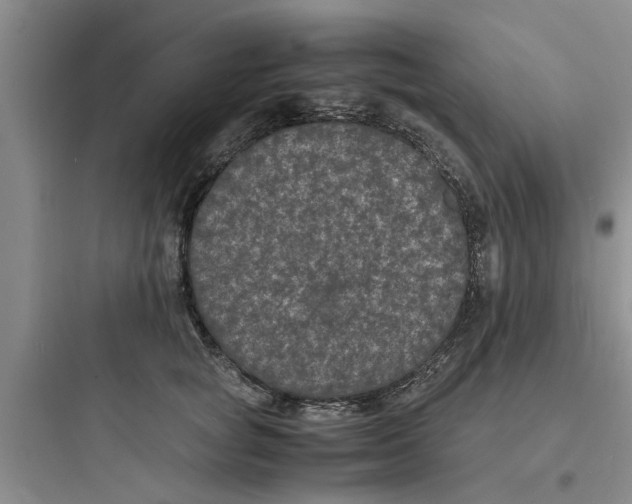 X0000097620757200803211745