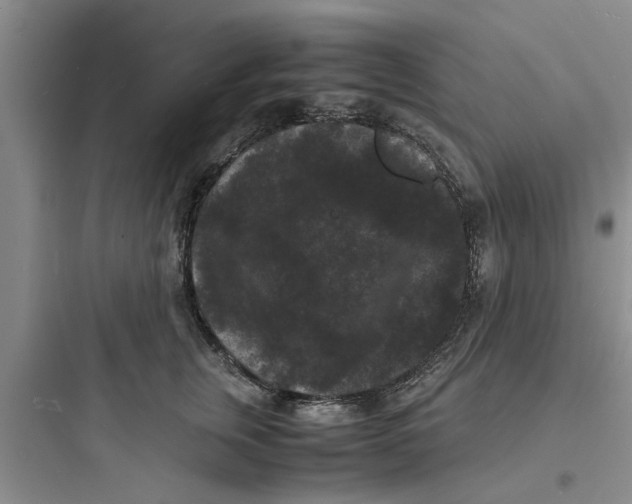 X0000097620759200803211745