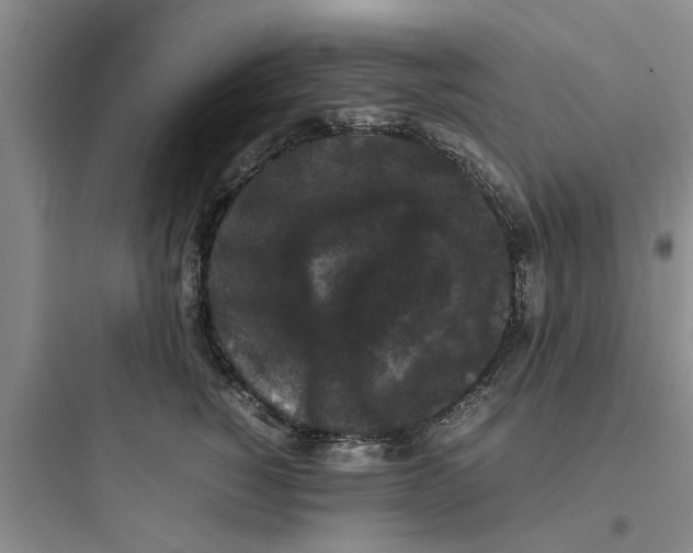 X0000097620760200803211745