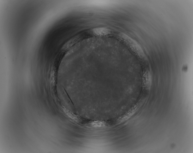 X0000097620762200803211745