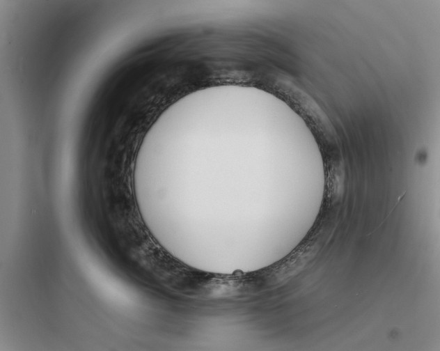 X0000097620764200803211745