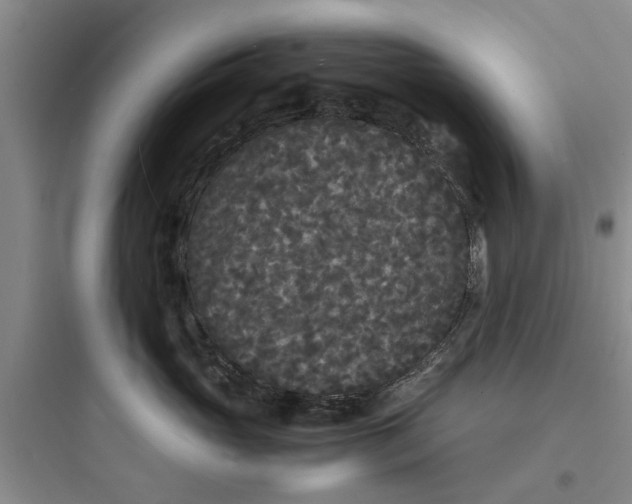 X0000097620765200803211745