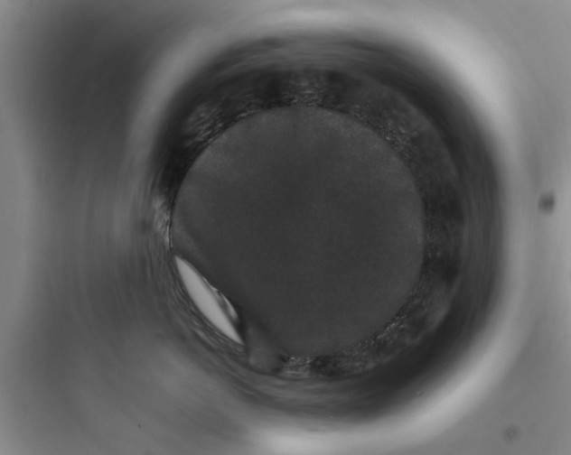 X0000097620766200803211745
