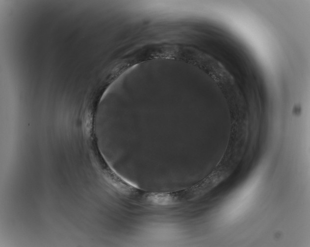 X0000097620767200803211745