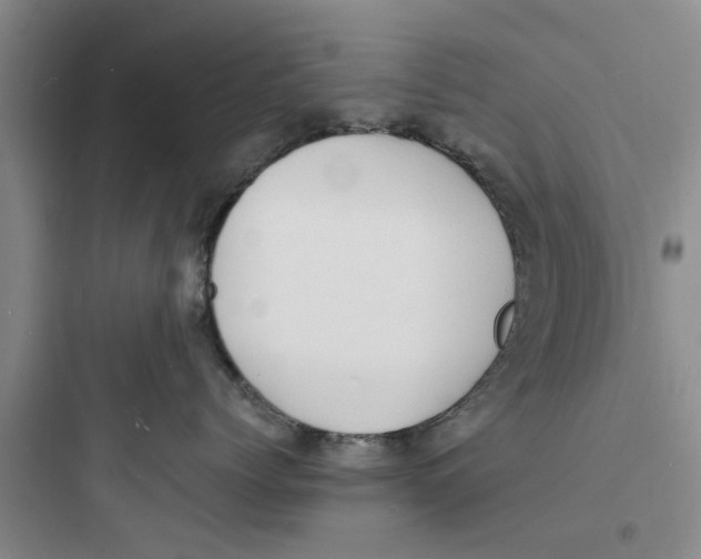X0000097620768200803211745