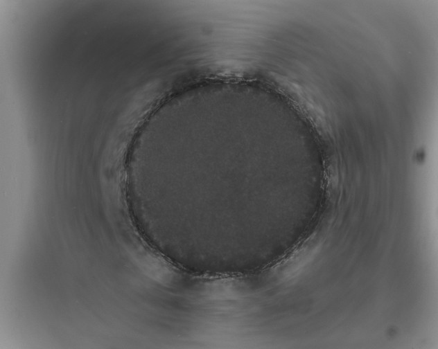 X0000097620769200803211744