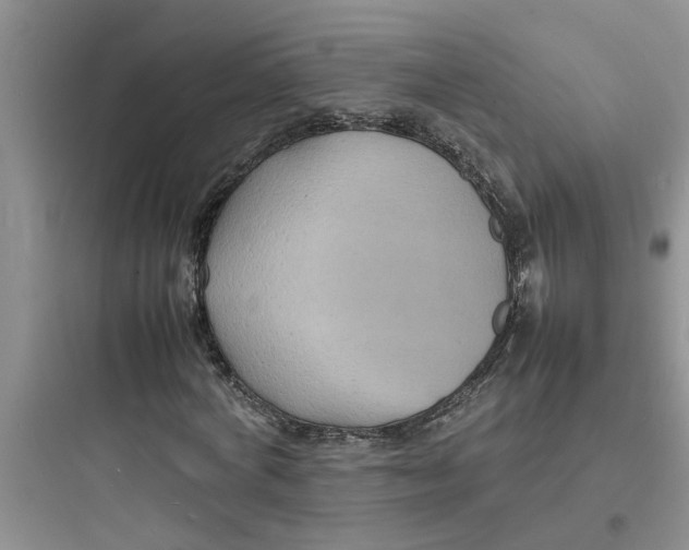 X0000097620772200803211744