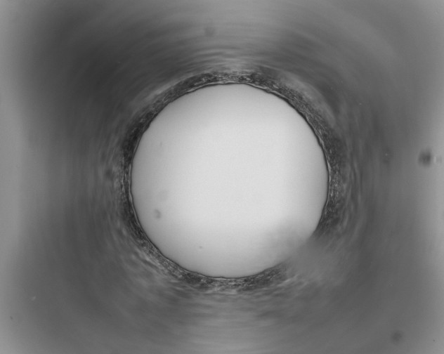 X0000097620773200803211744
