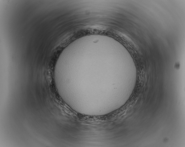 X0000097620774200803211744