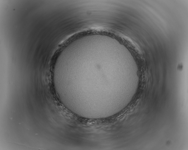 X0000097620776200803211744