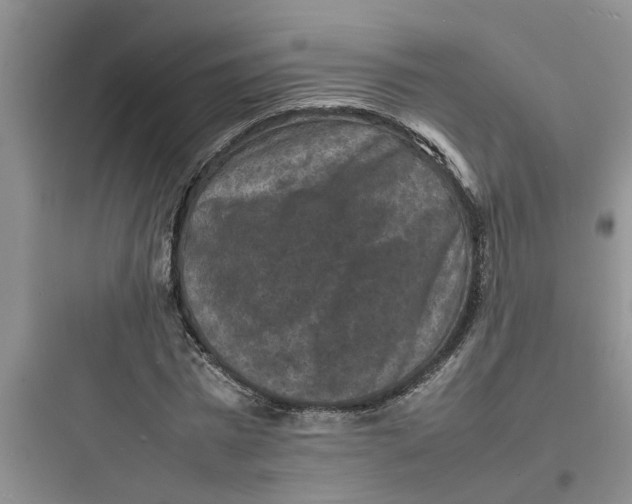 X0000097620777200803211744