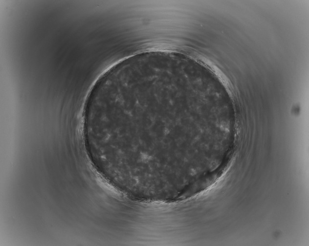 X0000097620779200803211744