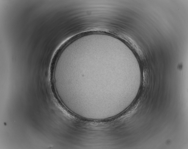 X0000097620780200803211744