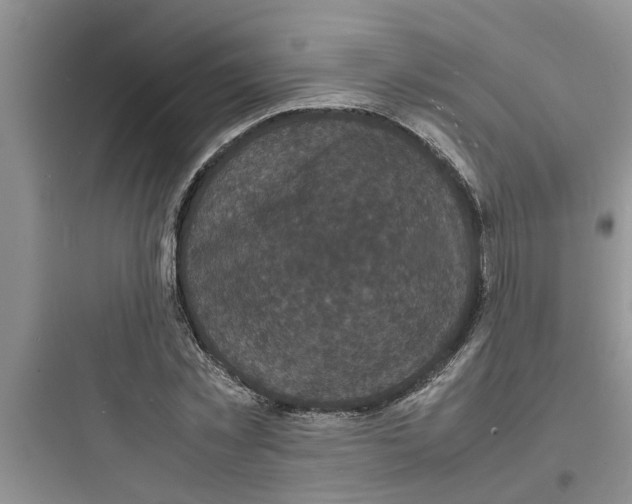 X0000097620781200803211744