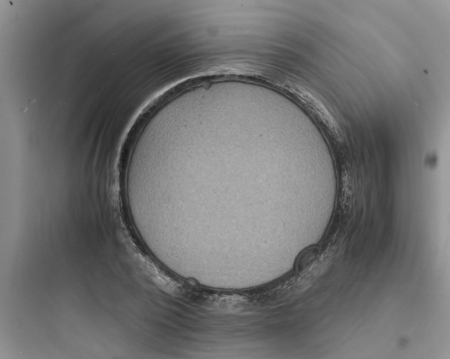 X0000097620784200803211744