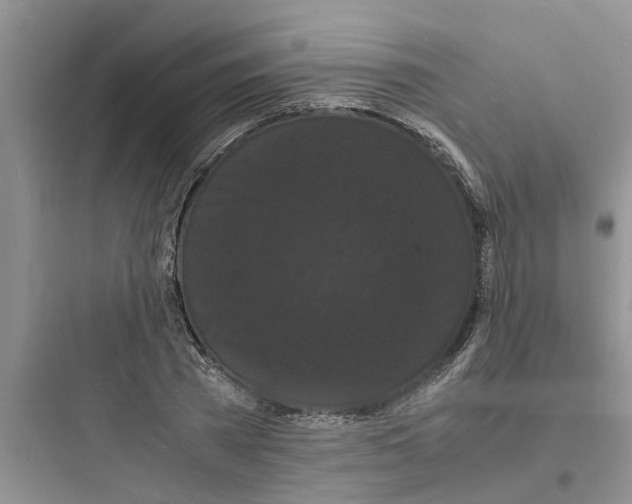 X0000097620785200803211744
