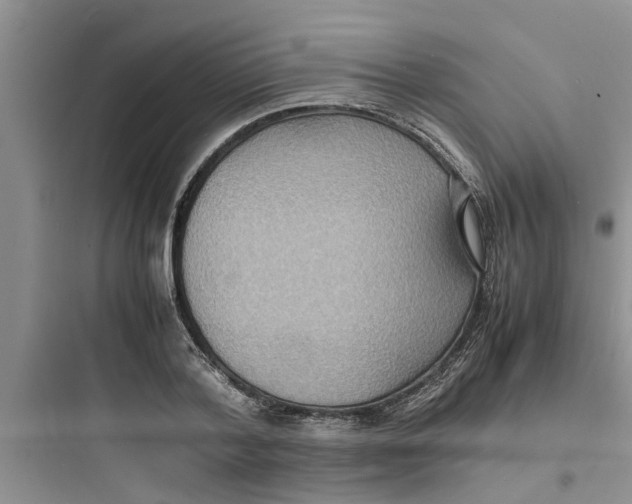 X0000097620788200803211744