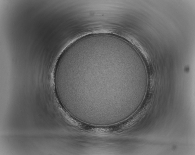 X0000097620789200803211744