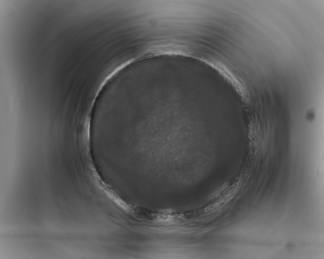 X0000097620790200803211744