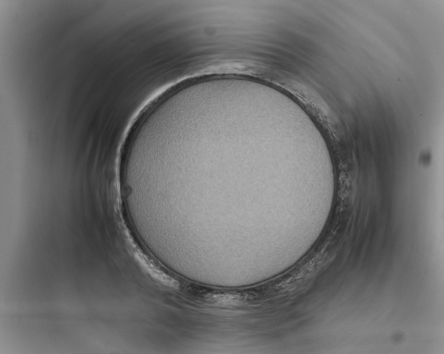 X0000097620792200803211744