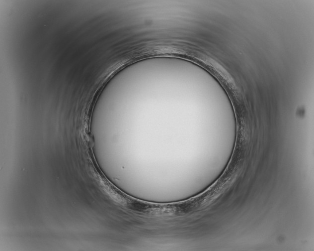 X0000097620793200803211744