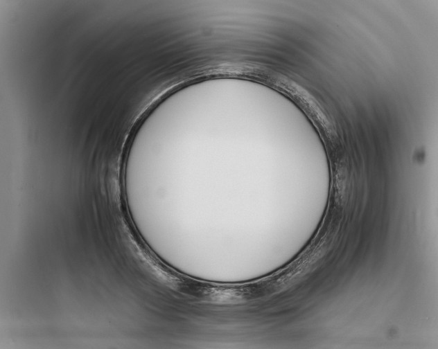 X0000097620794200803211744