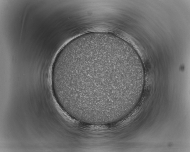 X0000097620795200803211744