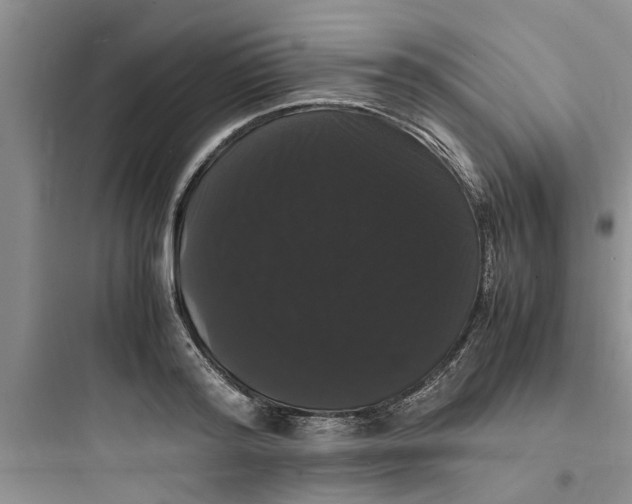 X0000097620796200803211744