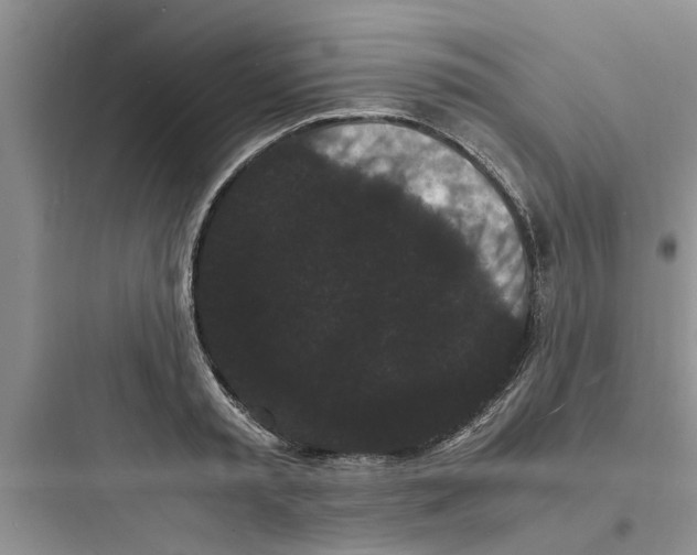 X0000097620797200803211744