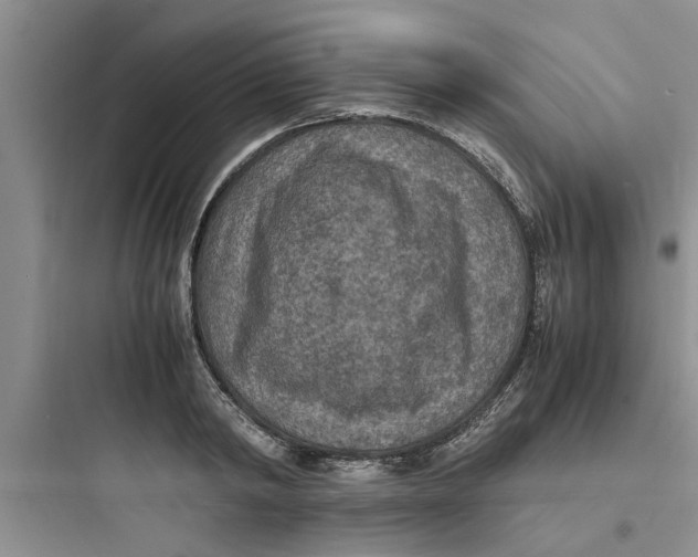 X0000097620798200803211744