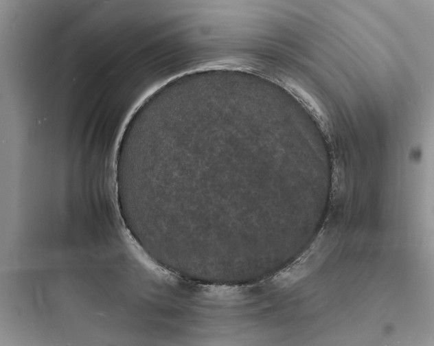 X0000097620800200803211744