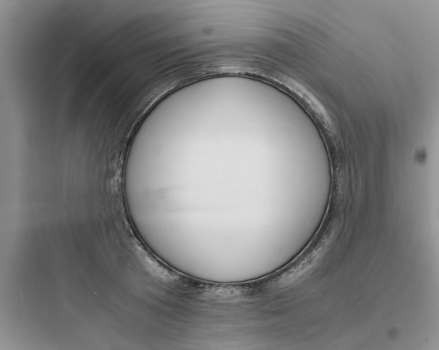 X0000097620801200803211744
