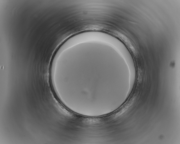 X0000097620802200803211744