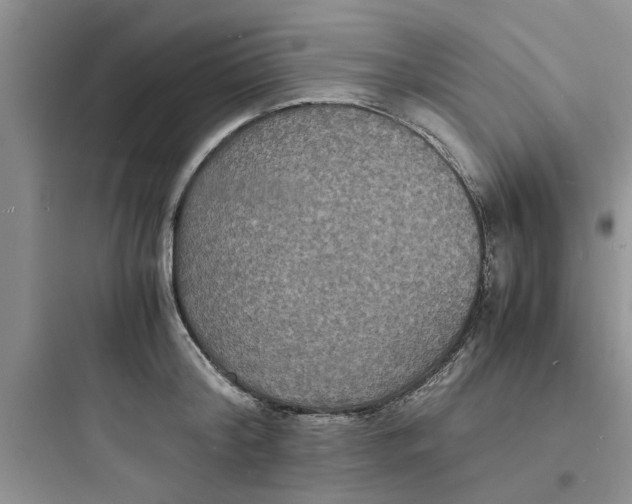 X0000097620804200803211744