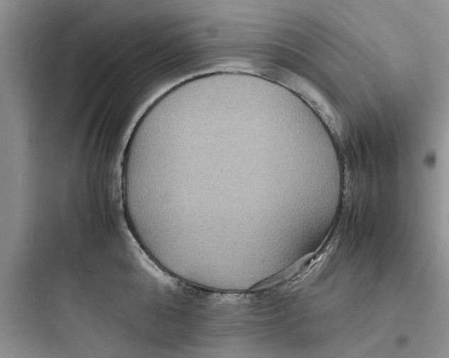 X0000097620808200803211744