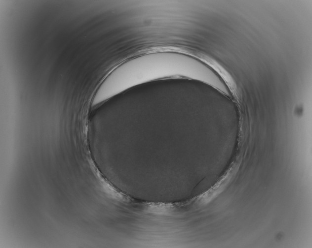 X0000097620809200803211744