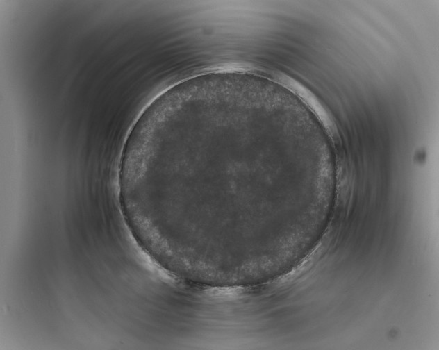 X0000097620810200803211744
