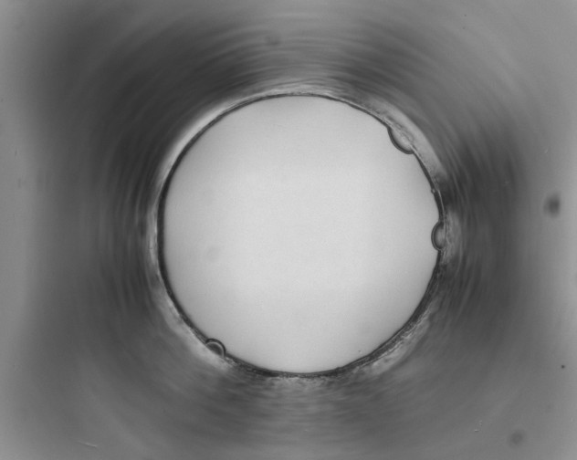 X0000097620812200803211744
