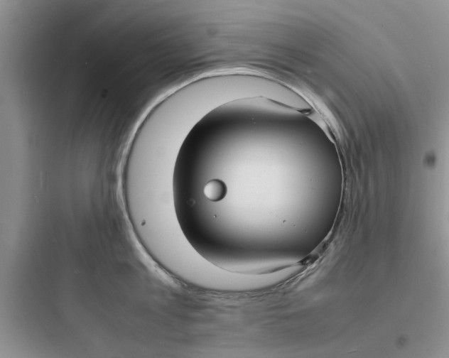 X0000097620813200803211744