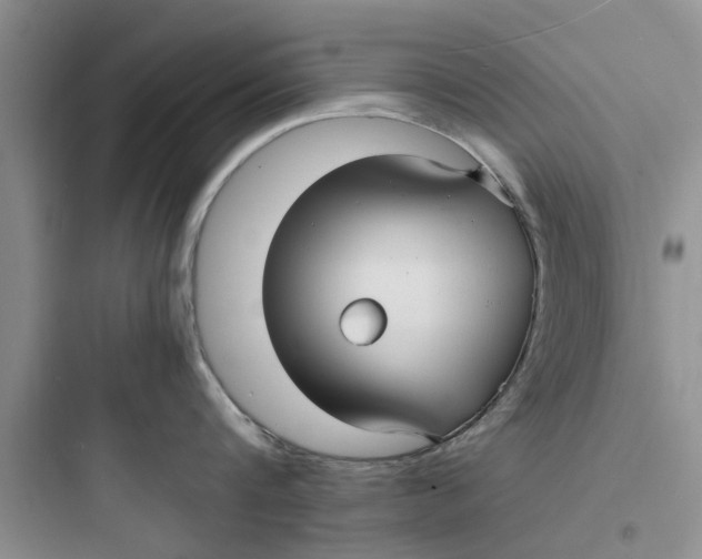 X0000097620816200803211744