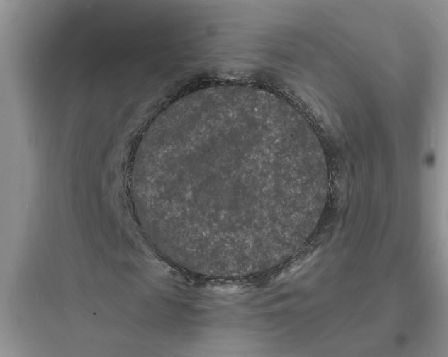 X0000097620817200803211743