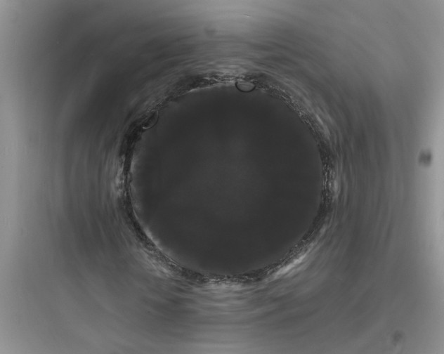 X0000097620818200803211743