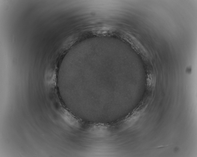 X0000097620820200803211743