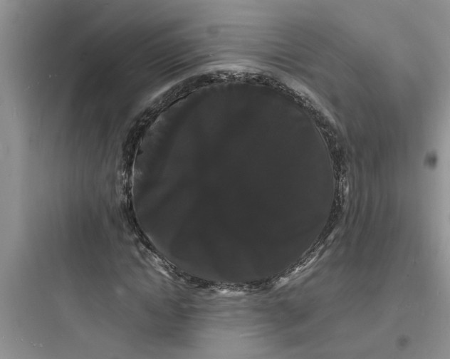 X0000097620822200803211743