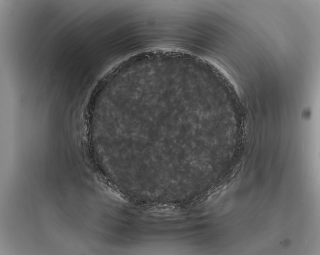 X0000097620823200803211743