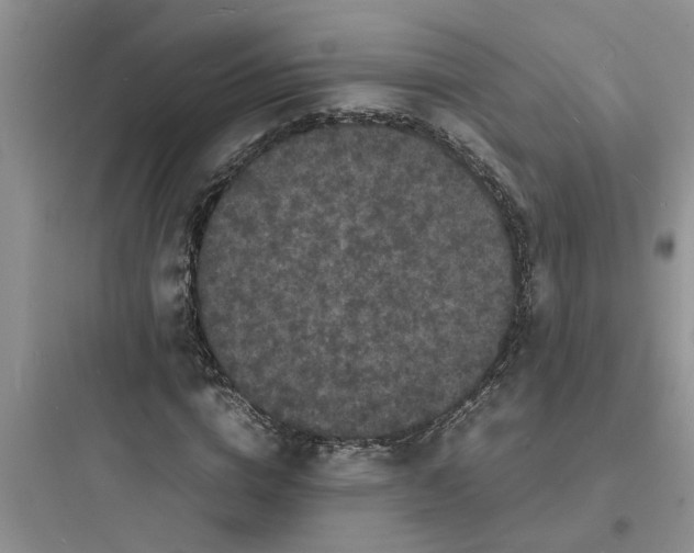 X0000097620824200803211743