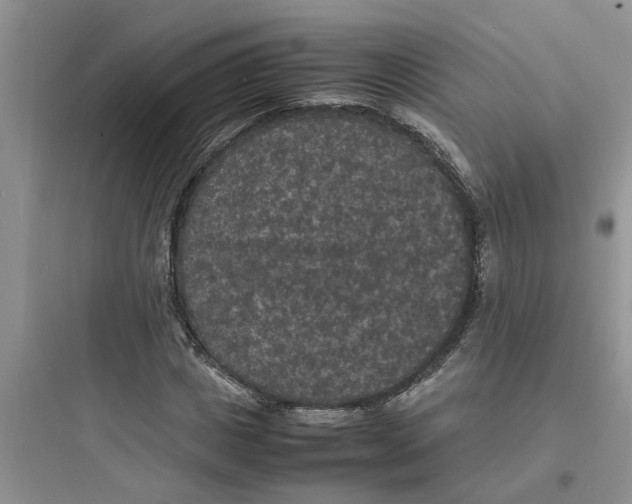 X0000097620825200803211743