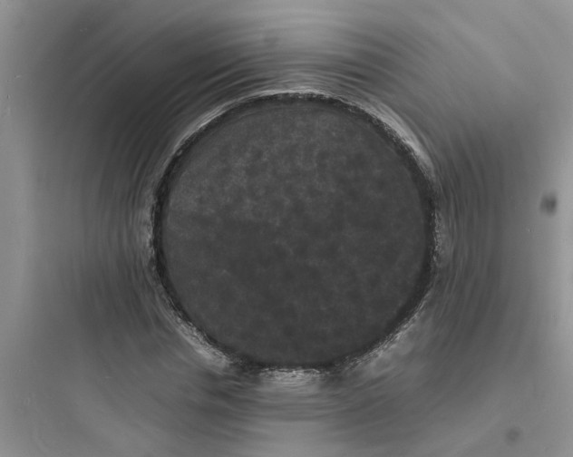 X0000097620826200803211743