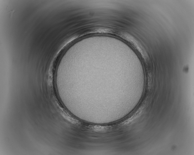 X0000097620827200803211743